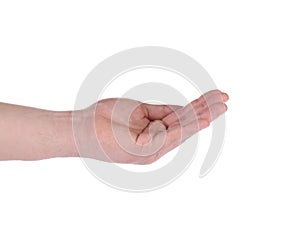 Open palm hand gesture of male hand.