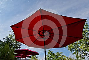 open parasols umbrella are in a row among the trees. table shades.