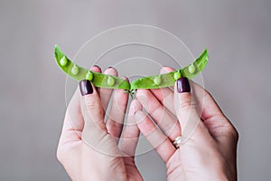 Open pea pod in woman`s hand