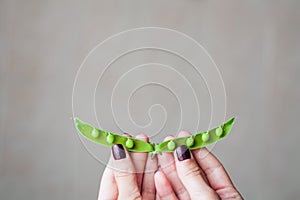 Open pea pod in woman`s hand