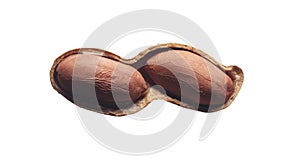 Open peanut shell with two kernels