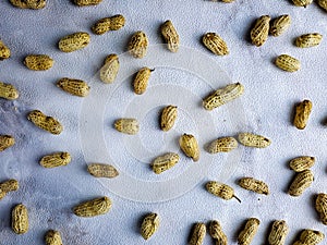 Open peanuts shot macro in studio, white wall texture background