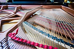 Open piano strings and notes