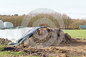 An open pile of winter feed silage for cattle in a field