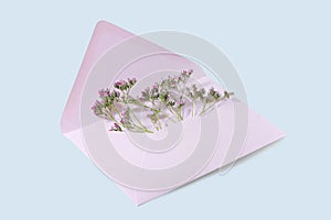 Open pink envelope with some small flowers in it as a congratulation greeting or love symbol for holidays like valentines,