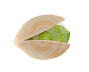 open pistachio nut one isolated on white background with clipping path