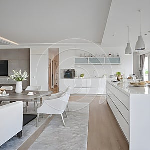 Open-plan interior with a luxurious living room and white kitchen design