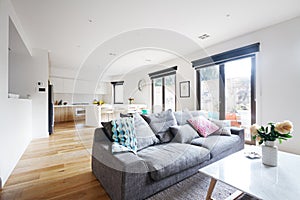 Open plan living room kitchen contemporary home