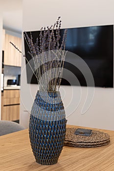 Open-plan small apartment interior showing kitchen, dining table, and mounted TV