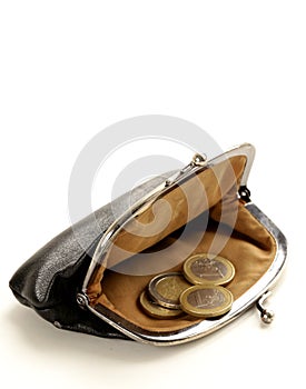 Open purse with euro coins