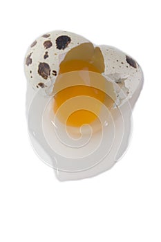 Open quail egg, isolated on white background