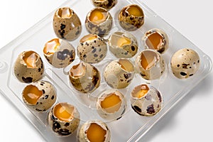 Open quail eggs in plastic box