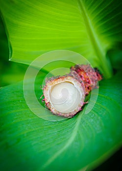 Open rambutan on banana leaf