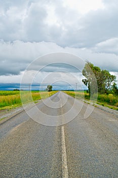Open road beneath a cloudy sky between sunflower fields