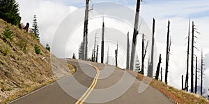 Open Road Damaged Landscape Blast Zone Mt St Helens Volcano