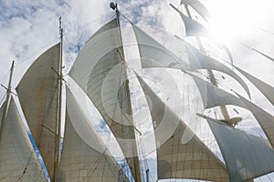 Open sails of the clipper boat