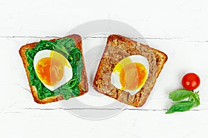 Open sandwich with eggs