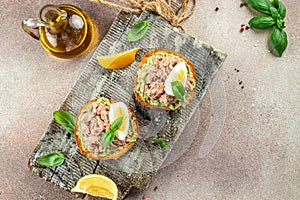Open sandwiches with canned tuna, boiled egg, avocado for snack or lunch. banner, menu, recipe place for text, top view