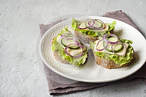 Open sandwiches with cheese, cucumbers and onions on wheat bread. Selective focus.