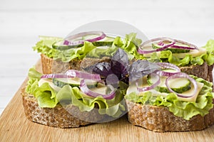 Open sandwiches with cheese, cucumbers and onions on wheat bread. Selective focus.