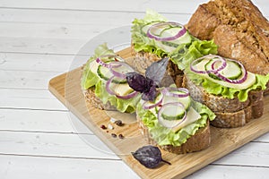 Open sandwiches with cheese, cucumbers and onions on wheat bread. Selective focus.