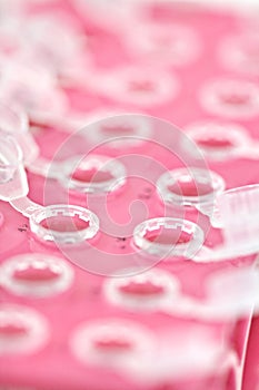 Open set of sterile plastic lab vials