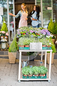 Open sign and potted plants with young florists standing behind in flower shop