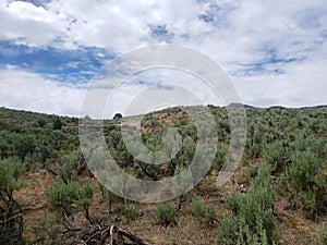 Open sky country high desert plain