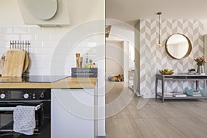 Open space kitchen interior with modern oven and spices on count