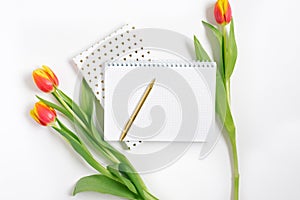 Open spiral notepad with pen and red tulips on white desk background. Template for advertising or visualization of blog with copy