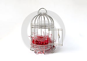 Open Steel Bird Cage with Pieces of Red Paper as Nest Isolated on White Background