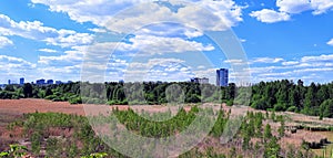 Open terrain horizon of trees and grass, blue sky with clouds