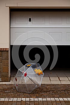 Open transparent umbrella stands in yard