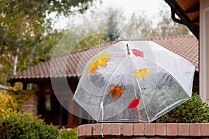 Open transparent umbrella stands in yard