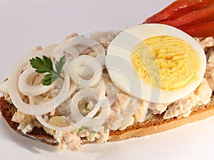 Open tuna salad sandwich