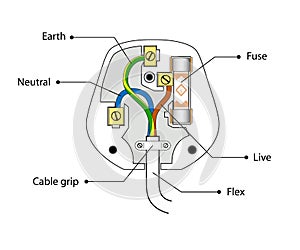 Open uk three pin plug case: fuse, wires. illustration. Vector.