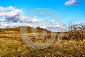 Open valley plain with dry wild vegetation and yellowish green grass, mountain against blue sky