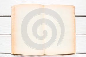 Open vintage book with blank pages