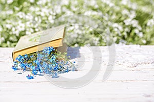 Open vintage book, blue forget-me-not flowers on wooden table, cozy morning in the village, sunny summer, holidays. Book of