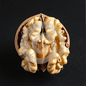 Open Walnut Kernel on a Dark Background