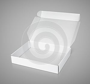 Open white blank carton pizza box