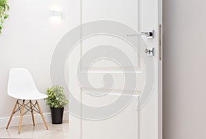 The open white interior doors. Modern chrome handle and lock wit