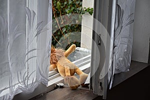 Open window, abandoned toy.