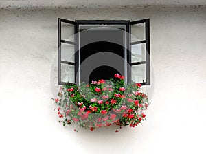 Open window decorated with beautiful bright geranium flowers photo