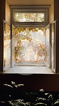 Open window and fall leaves