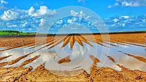 Open winter fields