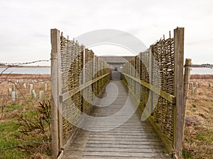 open wooden plank walkway bird hide nature reserve