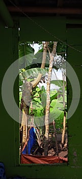 open your window and see the world