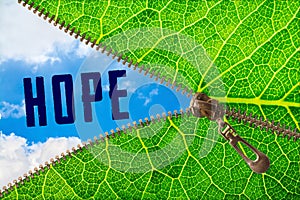 Hope word under zipper leaf