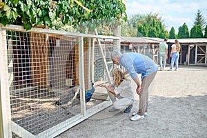 A family looking at the peacock at the zoo